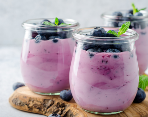Blueberry Greek Yogurt